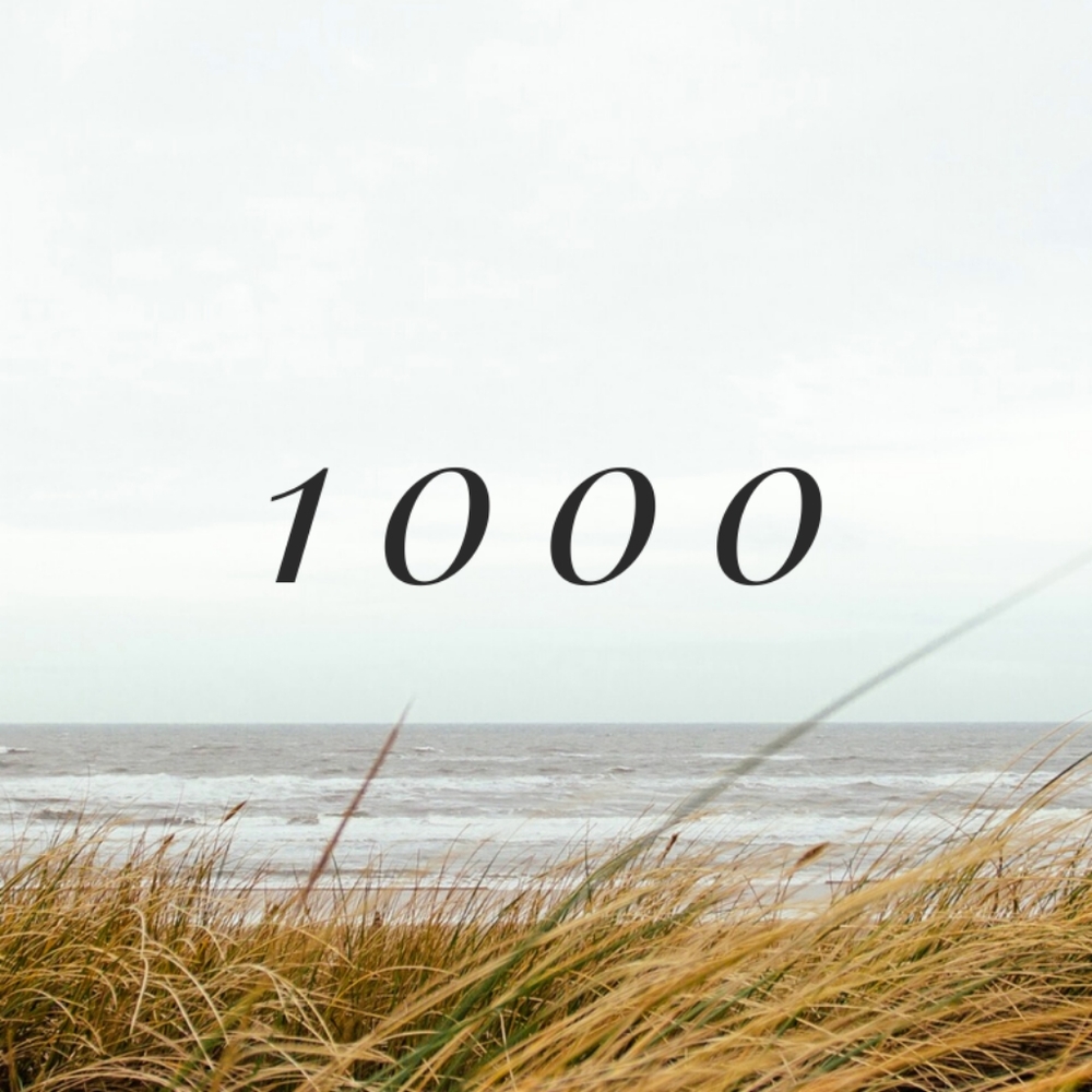 1000 followers